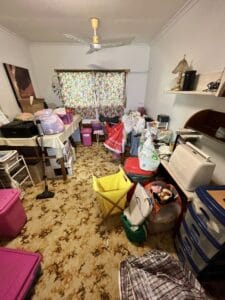 Clutter and pests