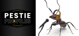 Pestie Profiles Podcast