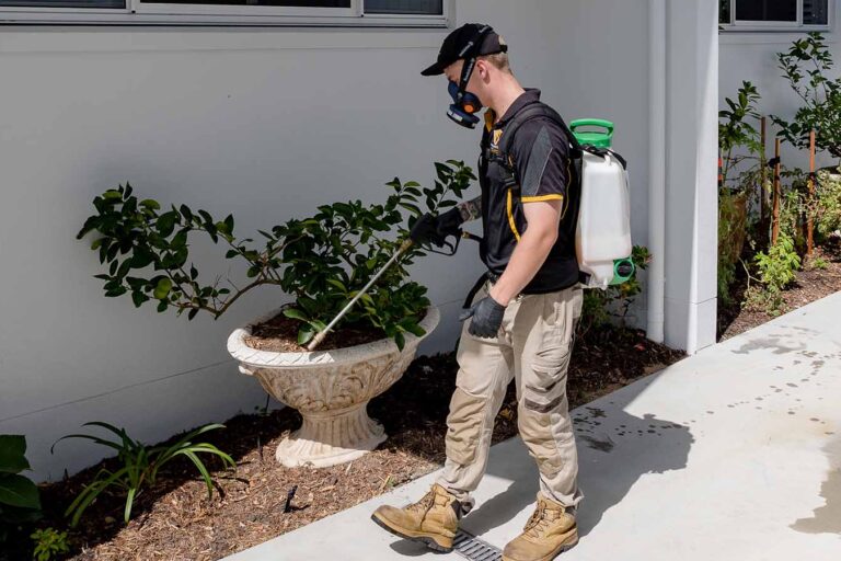 how often should get pest control done feature a pest controller spraying